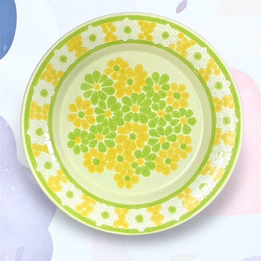 Vintage Franciscan Picnic Floral Dinner Plates (set of 8)